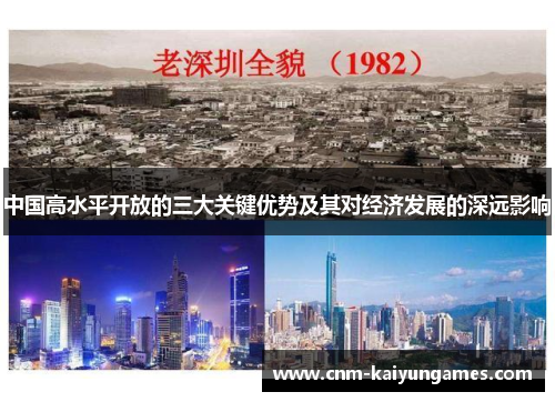 中国高水平开放的三大关键优势及其对经济发展的深远影响