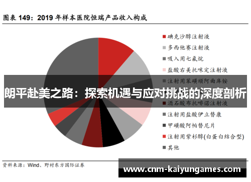 朗平赴美之路:探索机遇与应对挑战的深度剖析