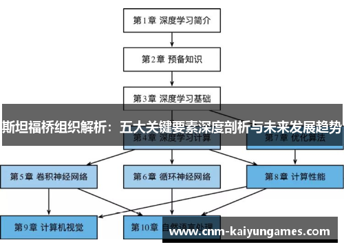 斯坦福桥组织解析:五大关键要素深度剖析与未来发展趋势