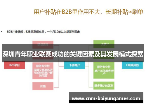 深圳青年职业联赛成功的关键因素及其发展模式探索