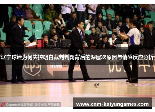 辽宁球迷为何失控明白裁判判罚背后的深层次原因与情感反应分析