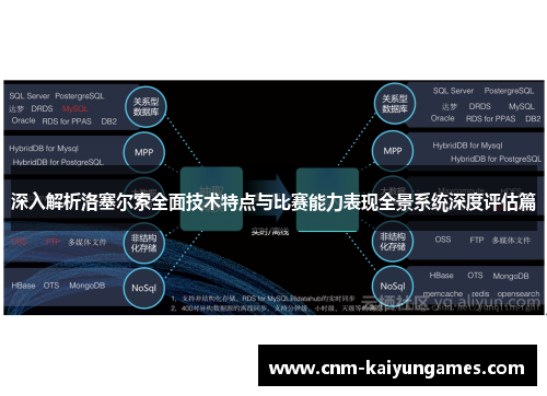 深入解析洛塞尔索全面技术特点与比赛能力表现全景系统深度评估篇 深入解析洛塞尔索全面技术特点与比赛能力表现全景系统深度评估篇