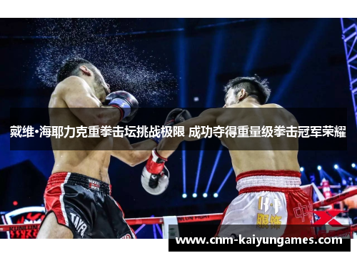 戴维·海耶力克重拳击坛挑战极限 成功夺得重量级拳击冠军荣耀